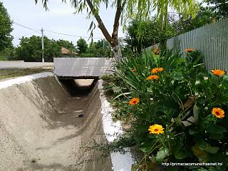 FrasinetDupa/img_20160620_121218_1477324548.jpg
