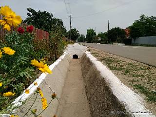 DanestiDupa/img_20160620_122059_1477324314.jpg
