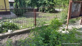 20150525_101317.jpg