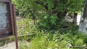 20150525_101326.jpg