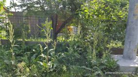 20150525_101446.jpg