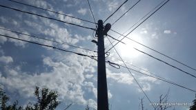 20150525_101451.jpg